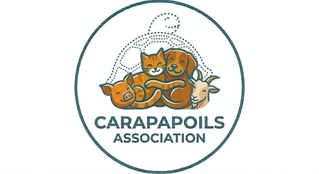 Logo Carapapoils Association